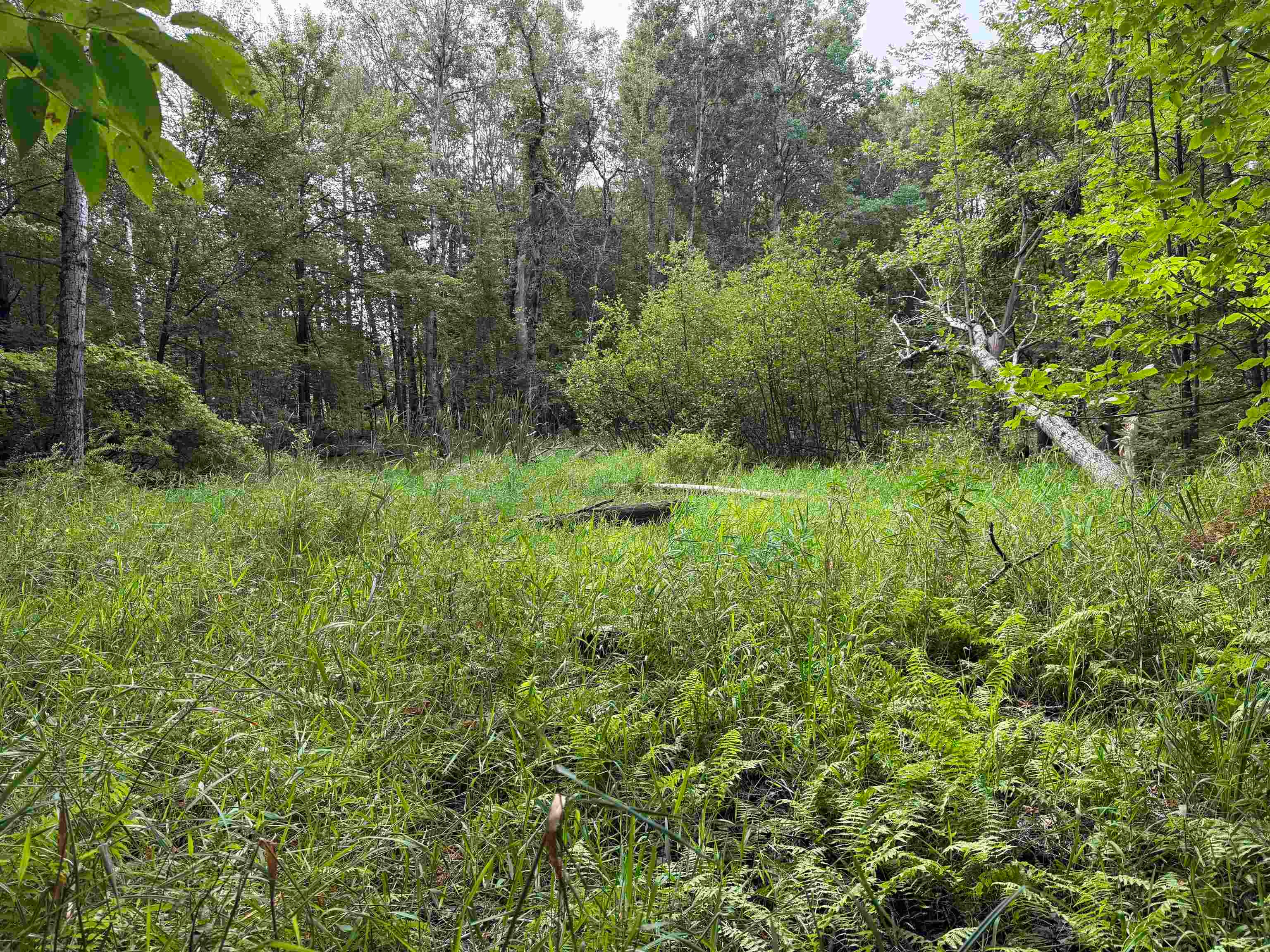 8 Laird Lake Road Hale, MI 48739 - Photo 13 of 17 Gallery Image 13