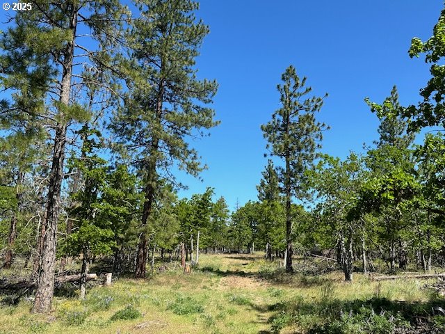 D Pine Goldendale, WA 98620 - Photo 3 of 14 a view of outdoor space and yard