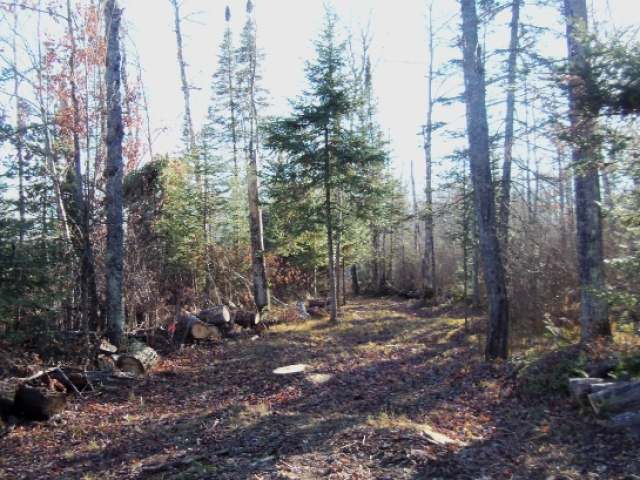 Lot 5 Lake Of The Falls Road Mercer, WI 54547 - Photo 4 of 20 Gallery Image 4