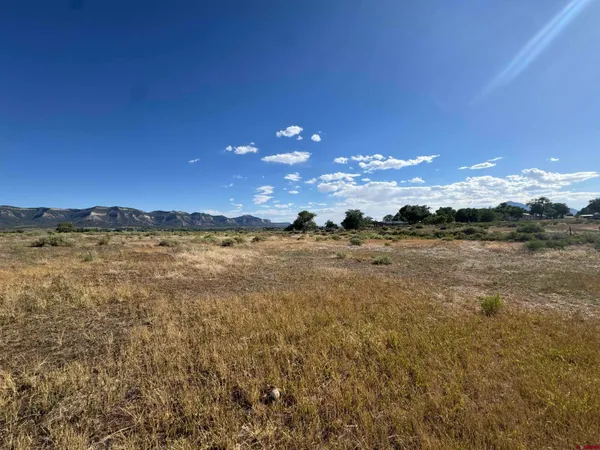 $158,000 | 821 South Chestnut Street, Cortez, CO 81321