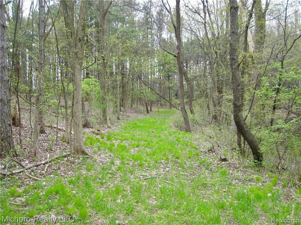 Parcel 2 South Lapeer Road Metamora, MI 48455 - Photo 8 of 17
