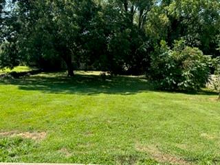 4124 South Minnie Street Kansas City, KS 66103 - Photo 2 of 8