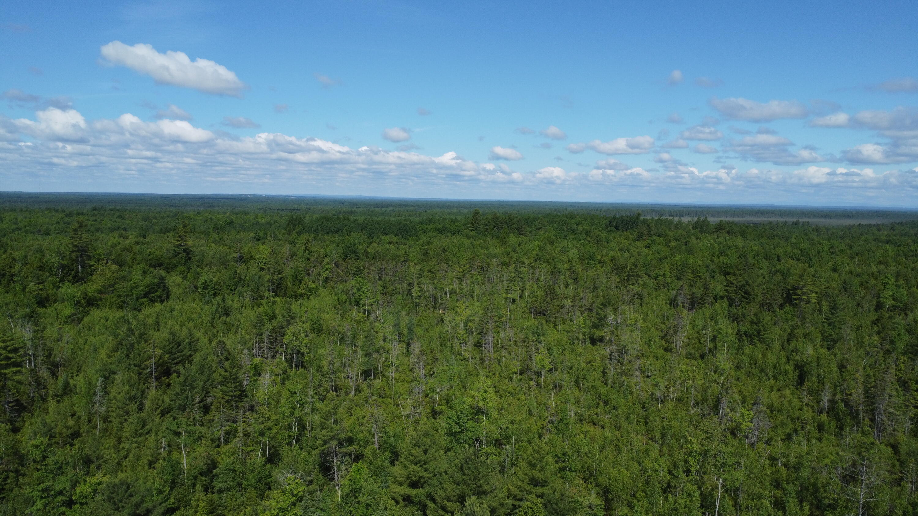 30-007 Cardville Road Greenbush, ME 04418 - Photo 3 of 19 DJI_0063