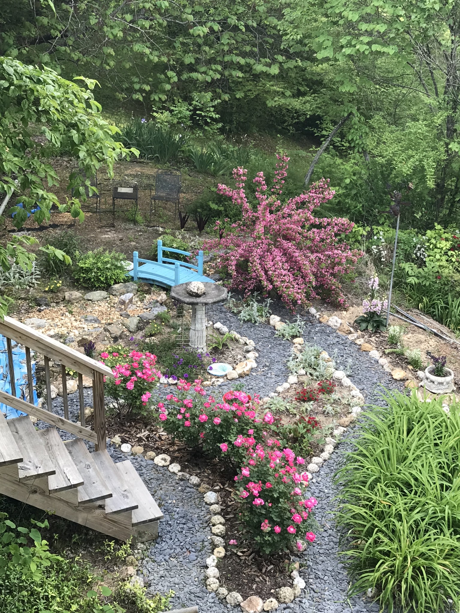 1006 Sullivan Drive White Bluff, TN 37187 - Photo 42 of 46 a view of small garden