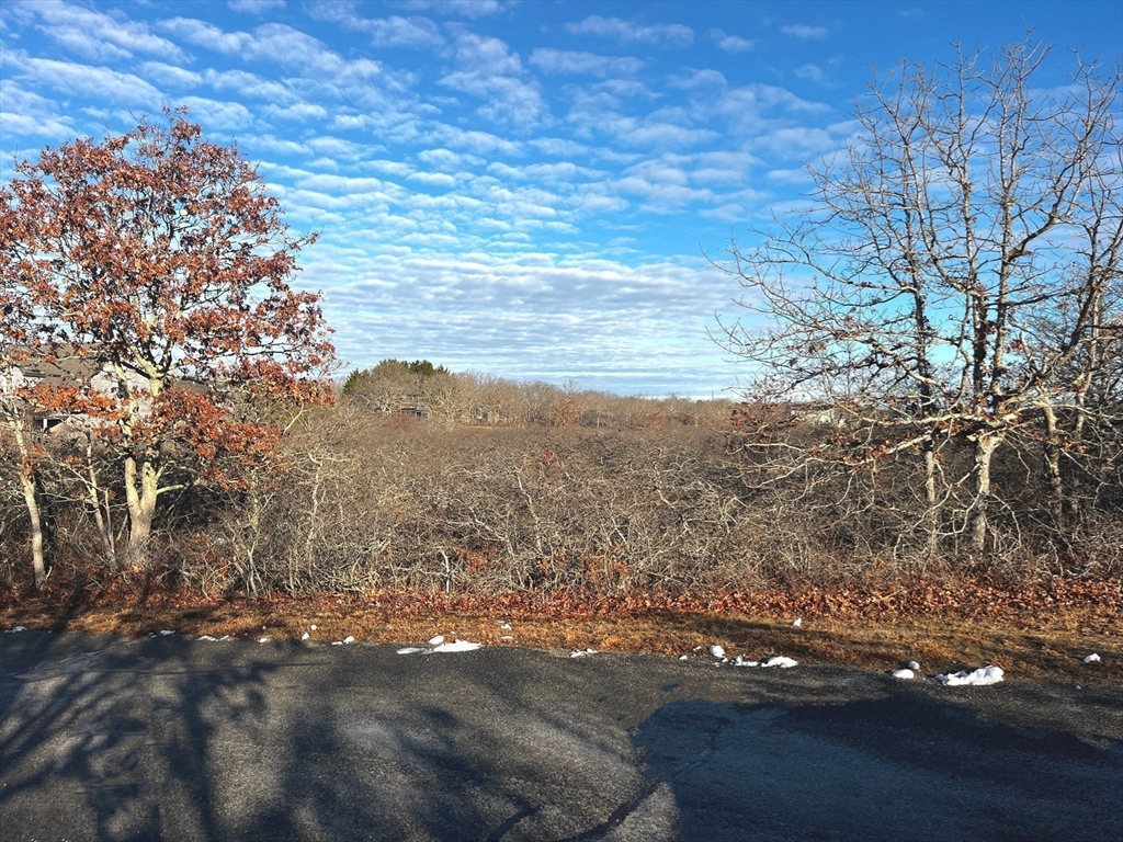 25 Coffins Field Road Edgartown, MA 02539 - Photo 3 of 4