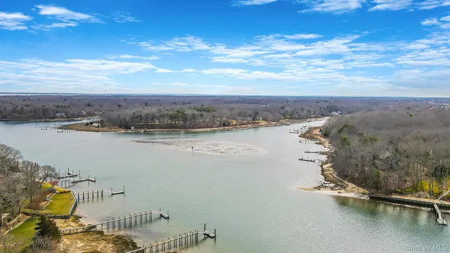 a view of a lake with a city