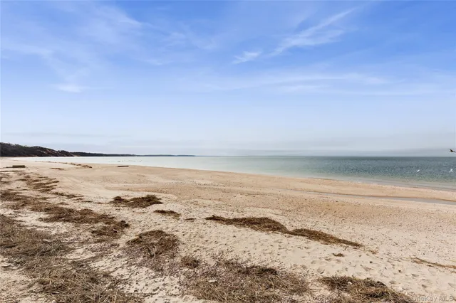 a view of beach and ocean