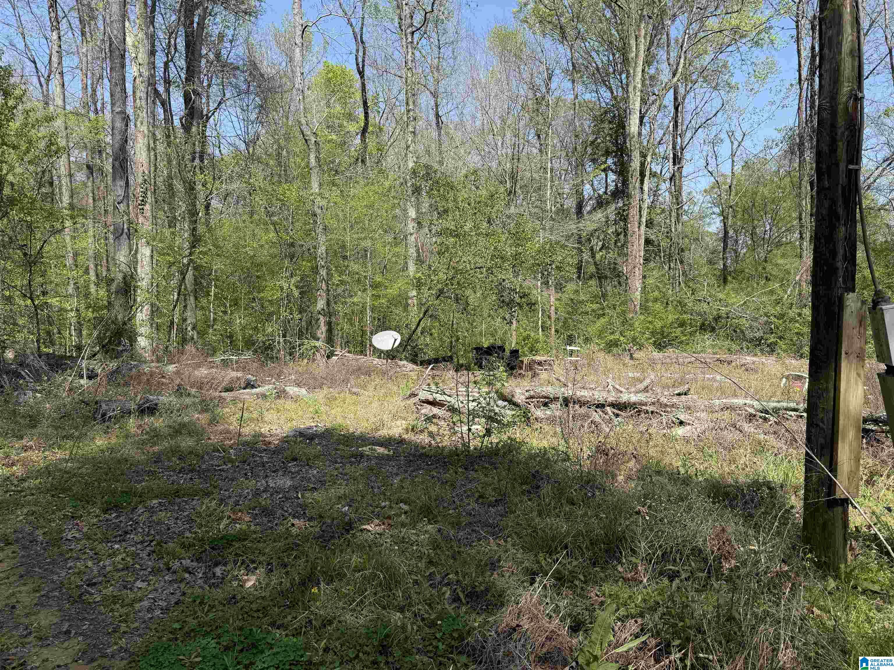 1781 Riverview Beach Road, Unit 1781 Moundville, AL 35474 - Photo 7 of 27