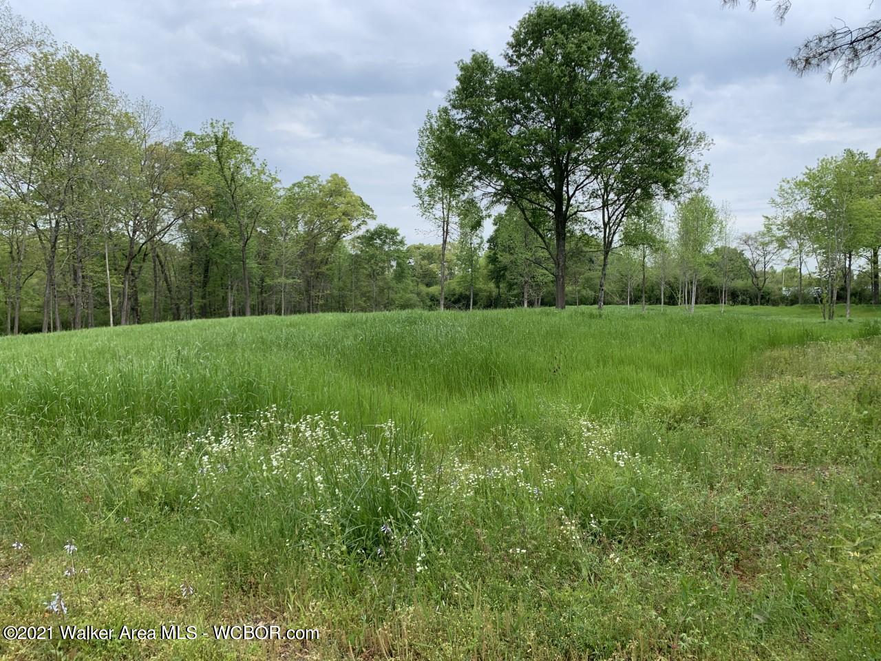 East Ridgewood Road Jasper, AL 35504 - Photo 1 of 1 Gallery Image 1