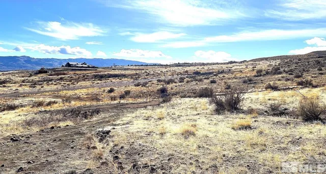 a view of a dry yard with wooden fence