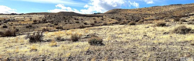 a view of a dry yard with mountains in the background