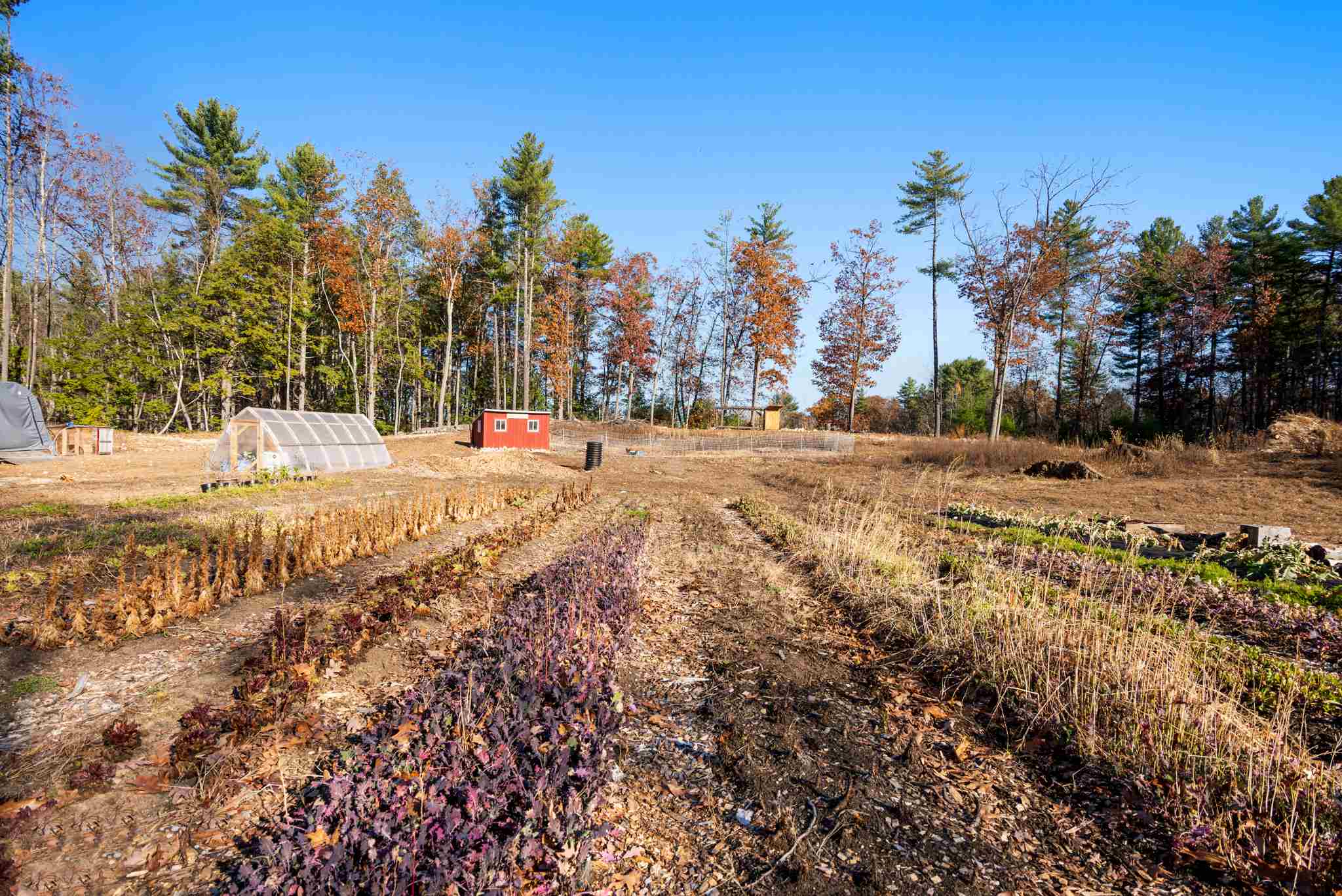 41 Ingham Road Merrimack, NH 03054 - Photo 19 of 31