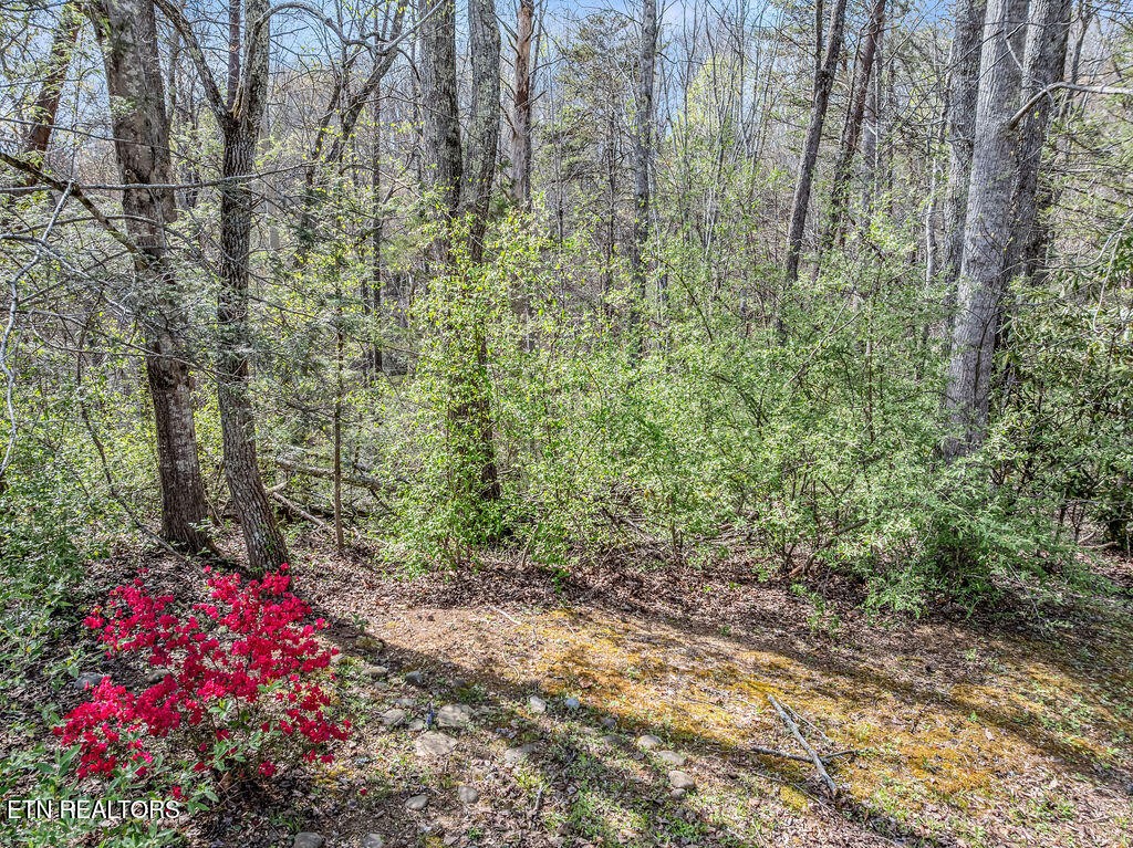 0 Bradley Road Sevierville, TN 37876 - Photo 5 of 6 Gallery Image 5