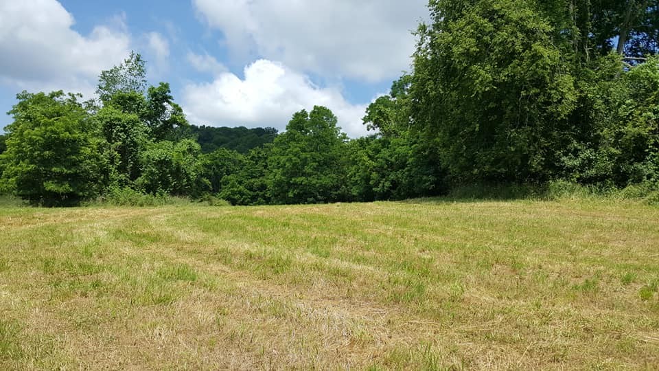 4377 Peytonsville-Trinity Road Franklin, TN 37064 - Photo 8 of 9
