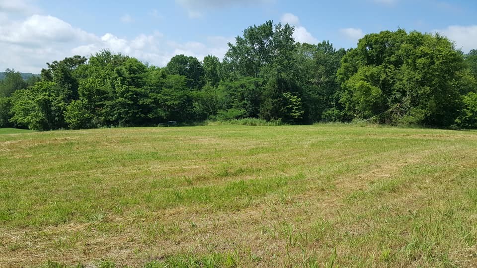 4377 Peytonsville-Trinity Road Franklin, TN 37064 - Photo 9 of 9