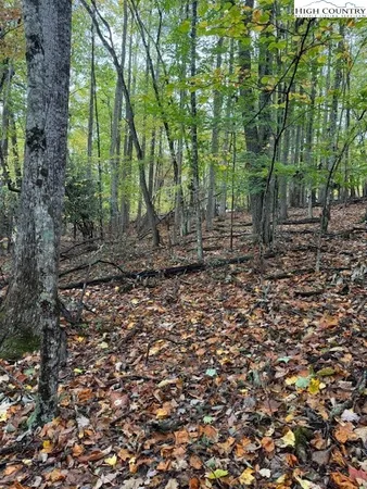 $34,900 | 108 Black Birch Lane, Beech Mountain, NC 28604