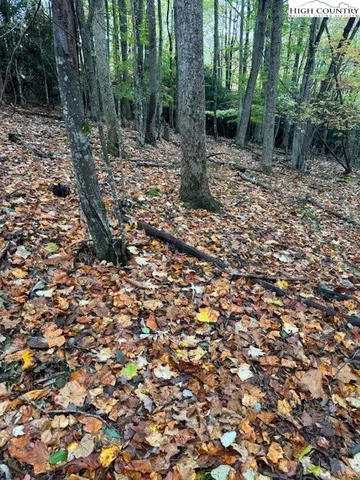 $34,900 | 108 Black Birch Lane, Beech Mountain, NC 28604