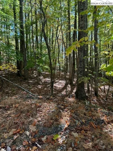 $34,900 | 108 Black Birch Lane, Beech Mountain, NC 28604