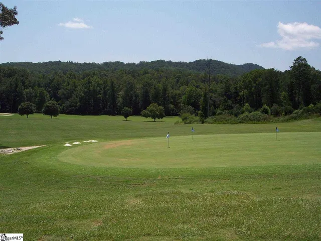 $16,900 | 343 Gauley Falls Road, Unit LOT 87 GAULEY FALLS, Pickens, SC 29671