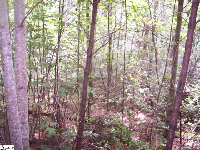 $16,900 | 343 Gauley Falls Road, Unit LOT 87 GAULEY FALLS, Pickens, SC 29671