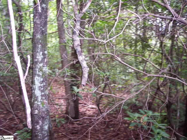 $16,900 | 343 Gauley Falls Road, Unit LOT 87 GAULEY FALLS, Pickens, SC 29671