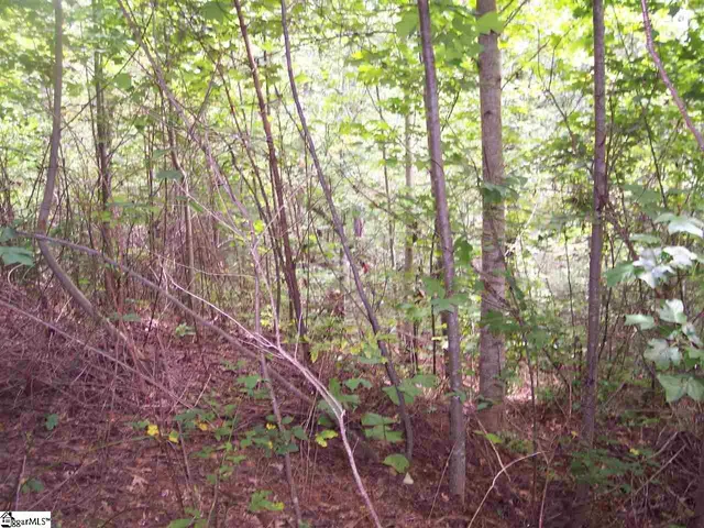$16,900 | 343 Gauley Falls Road, Unit LOT 87 GAULEY FALLS, Pickens, SC 29671