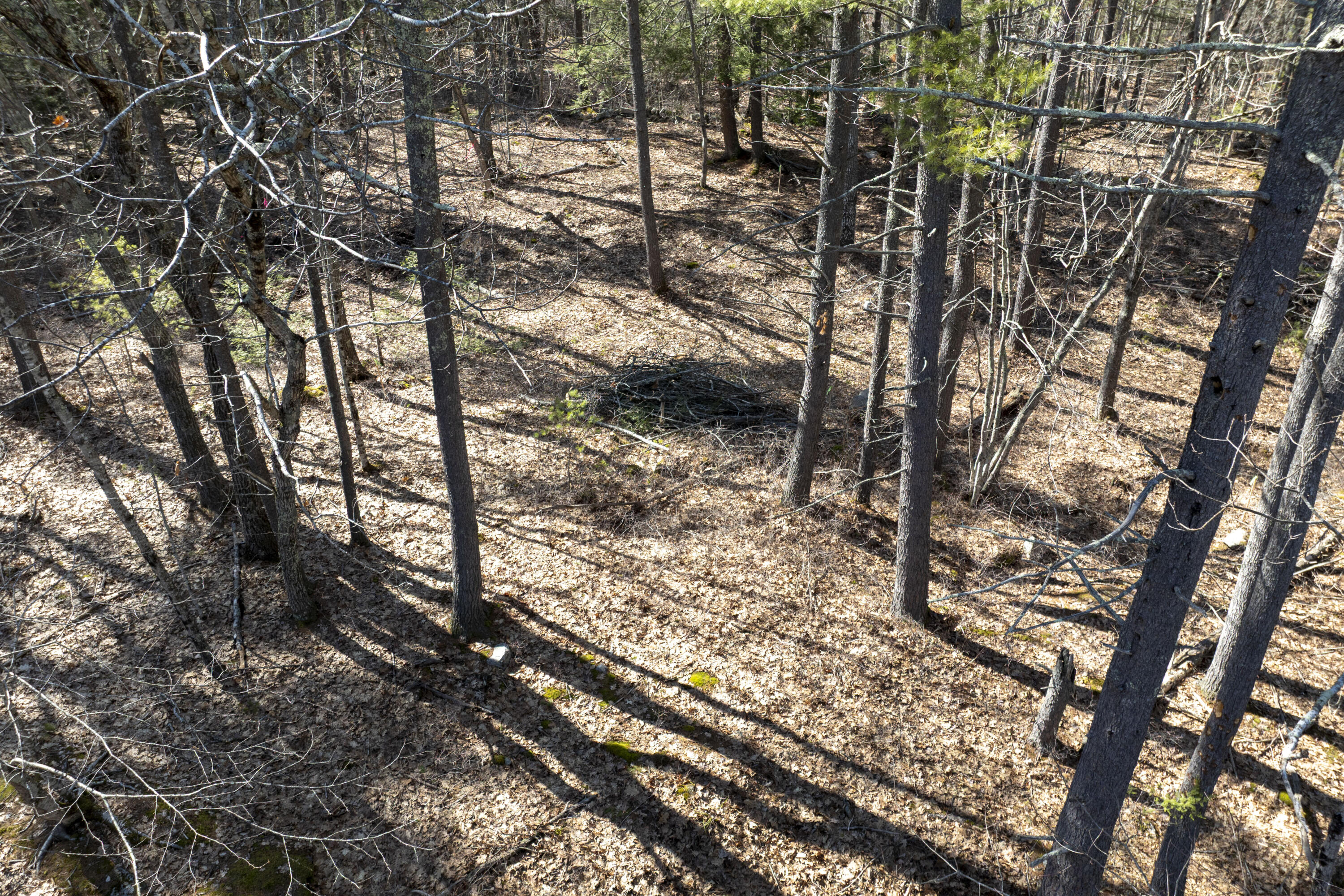 20 Witchtrot Road York, ME 03909 - Photo 3 of 9 02