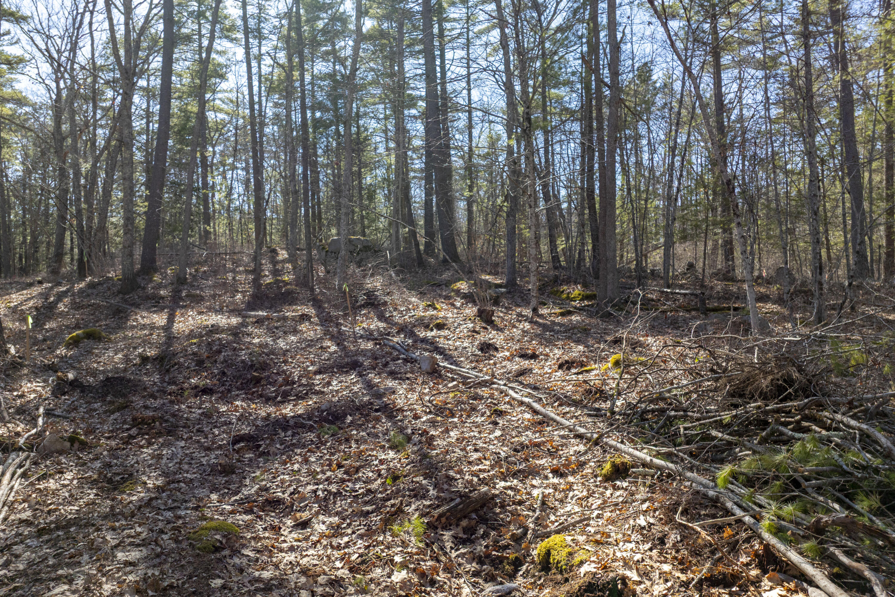 20 Witchtrot Road York, ME 03909 - Photo 7 of 9 07