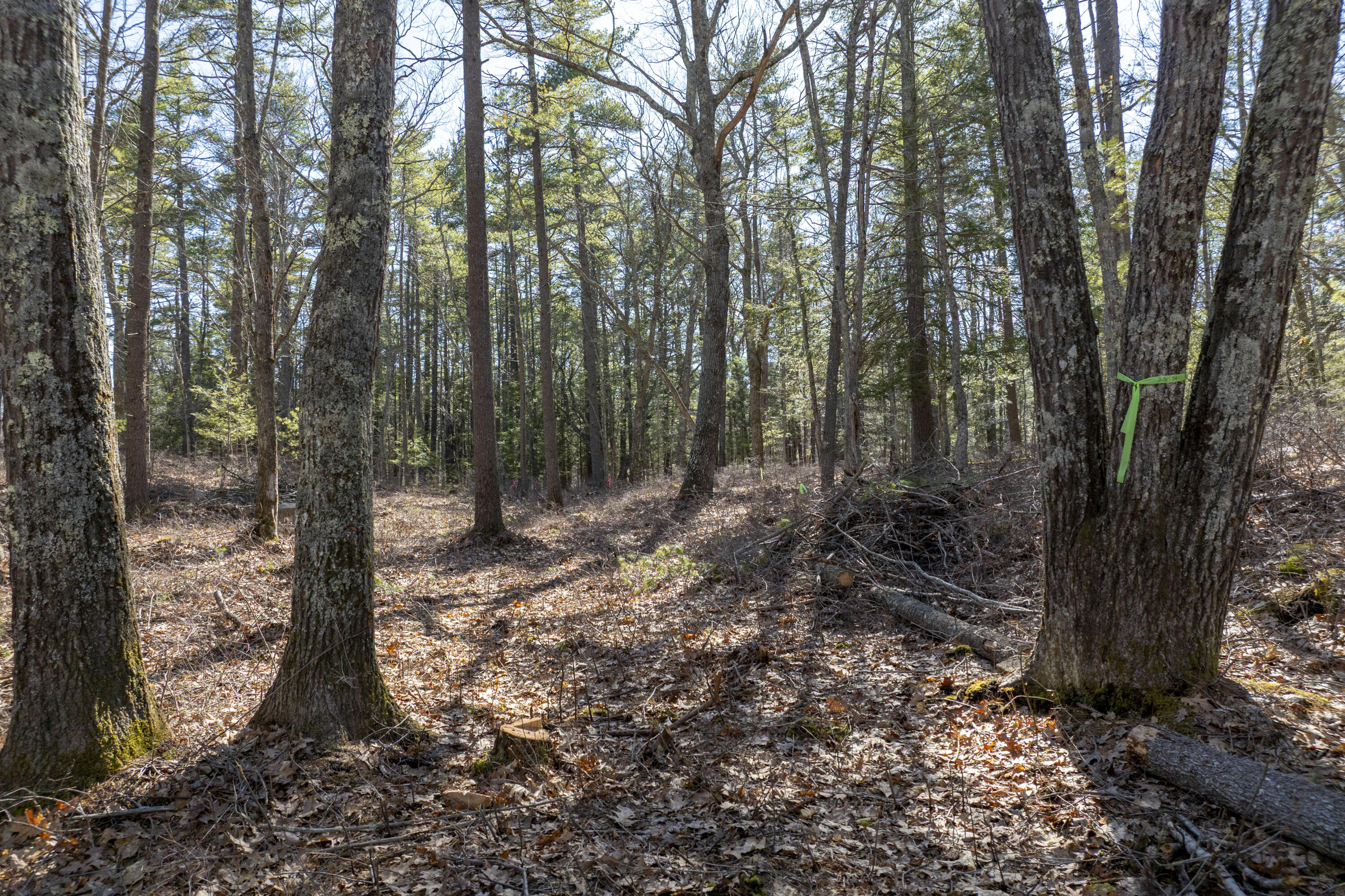 20 Witchtrot Road York, ME 03909 - Photo 8 of 9 08