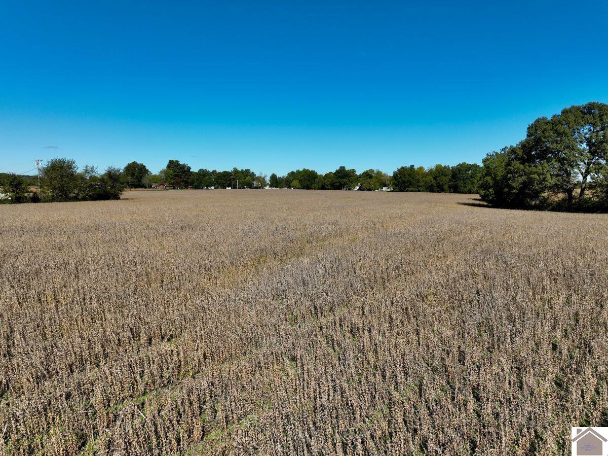 0 Kirksey Road Murray, KY 42071 - Photo 20 of 31 Photo 20