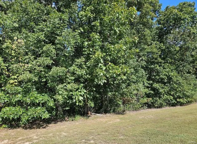 $28,500 | 0 Lot 9 Tarrant's Estates, Bowling Green, MO 63334