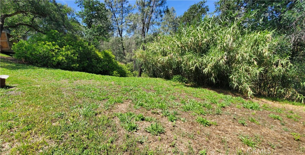 16080 Oakridge Road Corning, CA 96021 - Photo 11 of 36