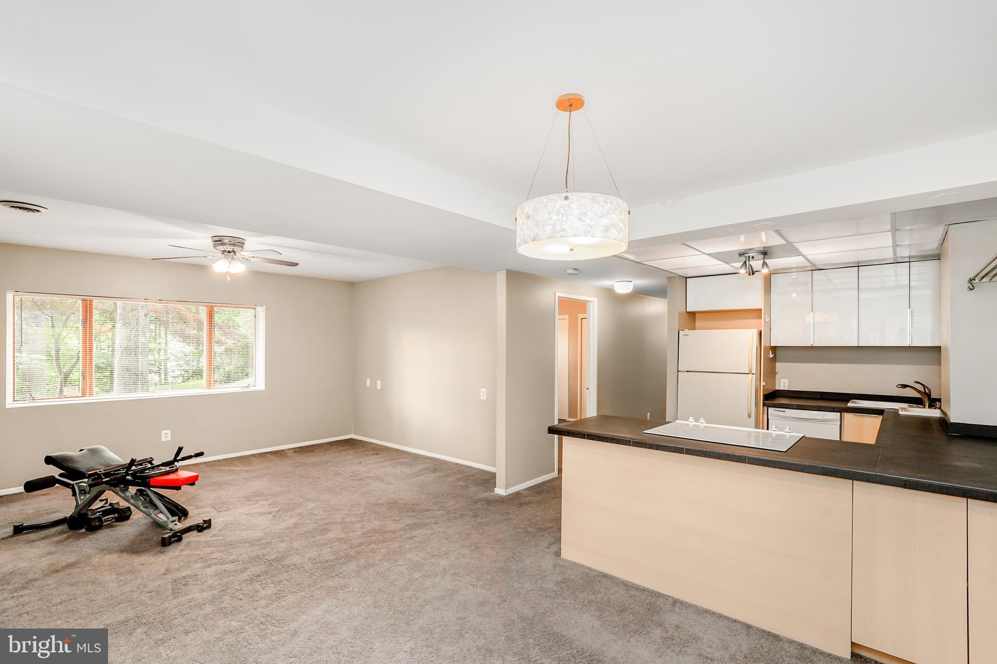 2207 Apple Tree Lane Silver Spring, MD 20905 - Photo 28 of 51