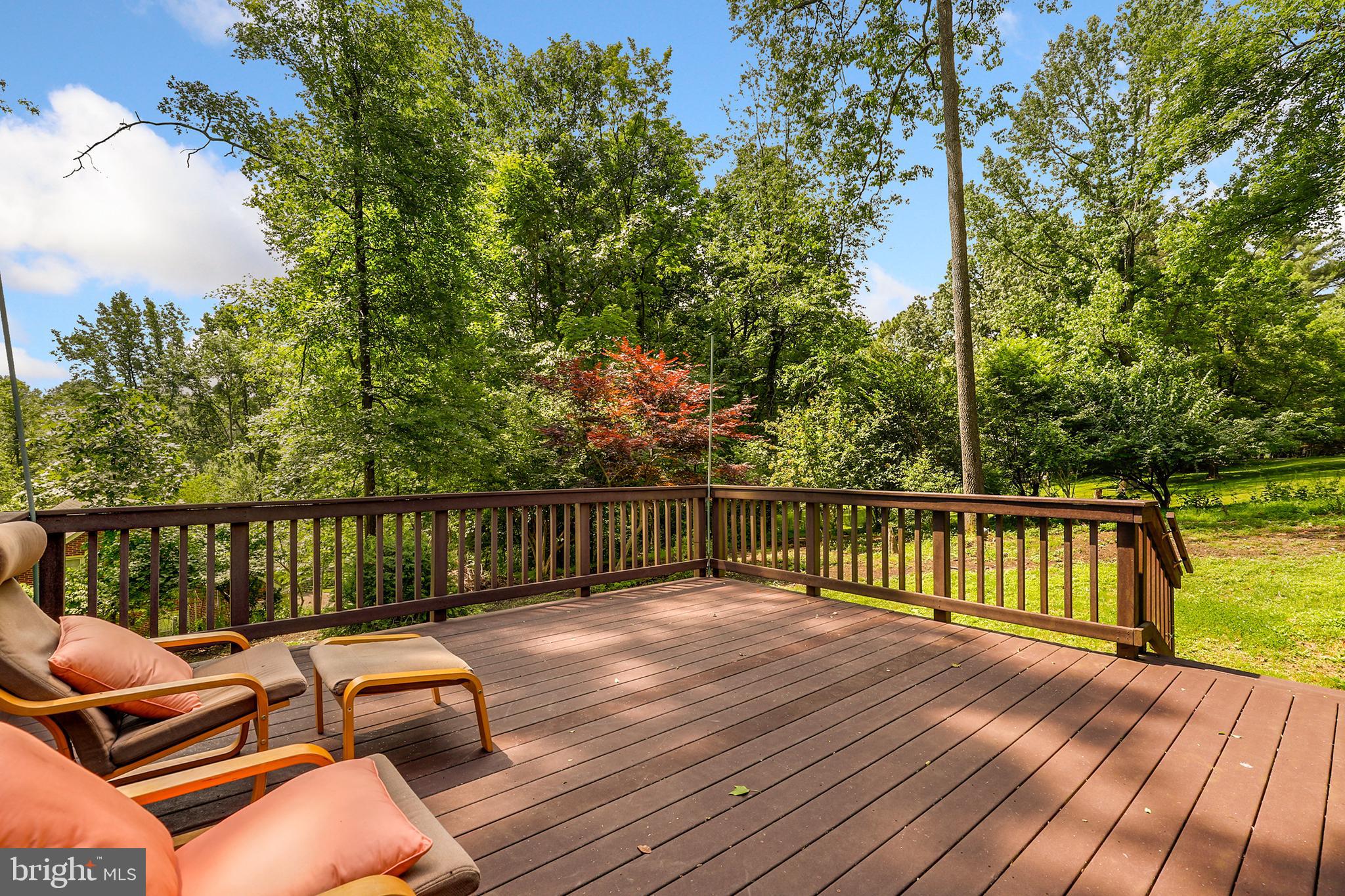 2207 Apple Tree Lane Silver Spring, MD 20905 - Photo 48 of 51