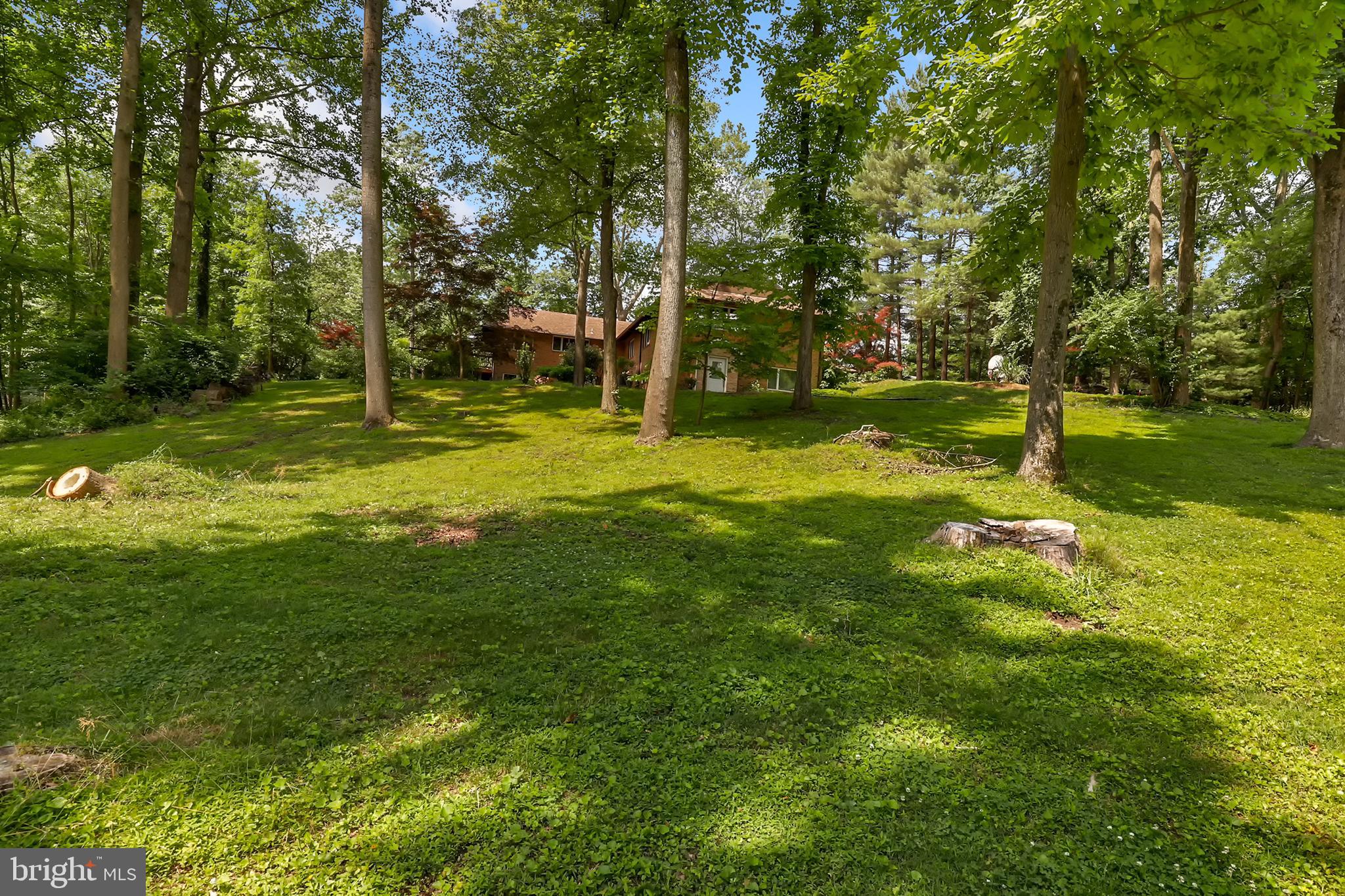 2207 Apple Tree Lane Silver Spring, MD 20905 - Photo 51 of 51