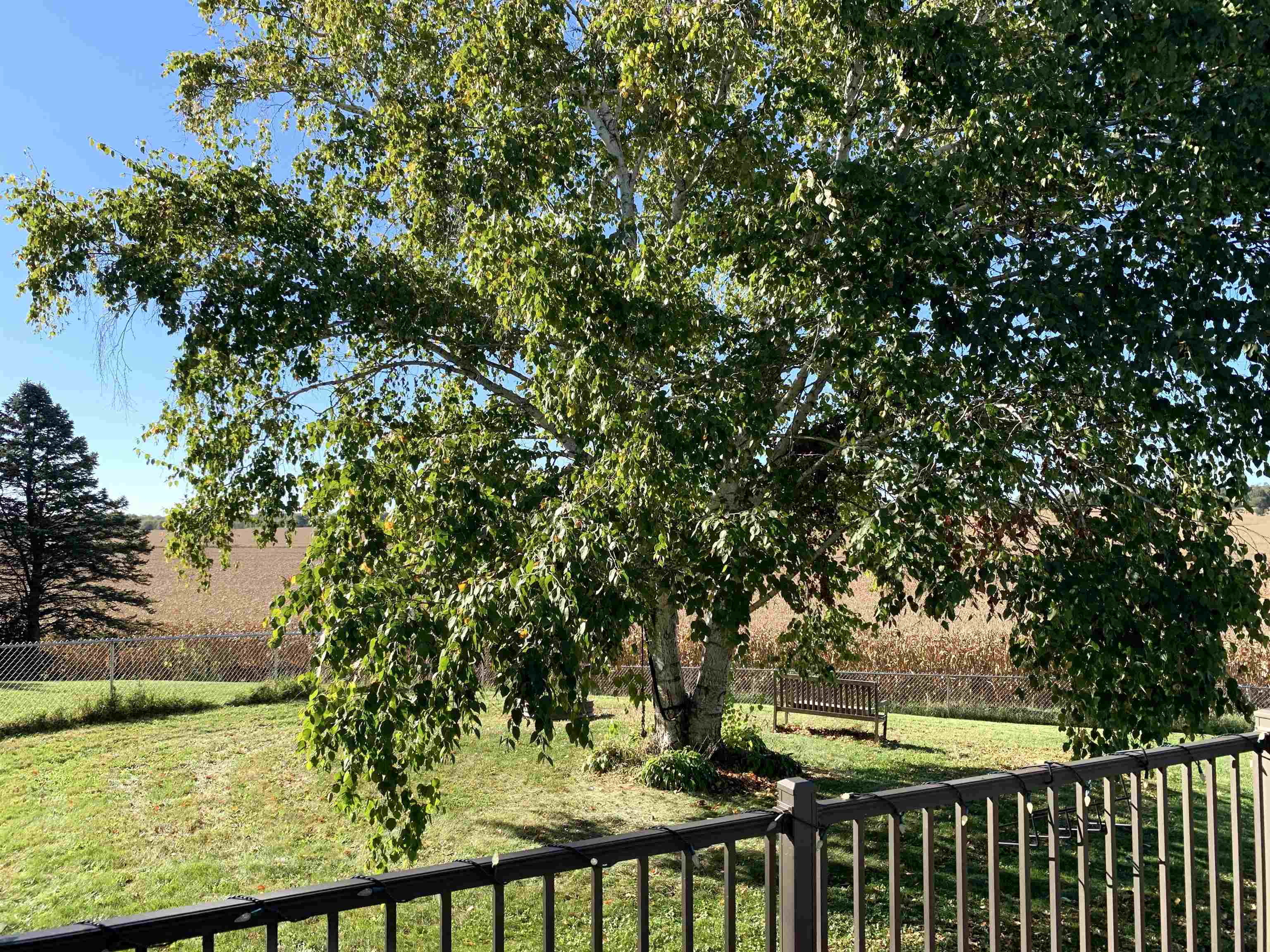 N3943 O Connor Road Columbus, WI 53925 - Photo 58 of 61