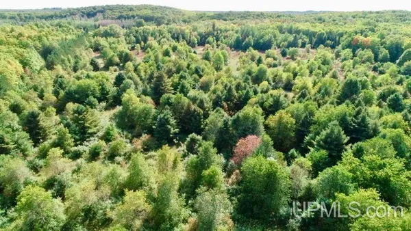 $46,000 | Tbd M-28 Highway, McMillan, MI 49853