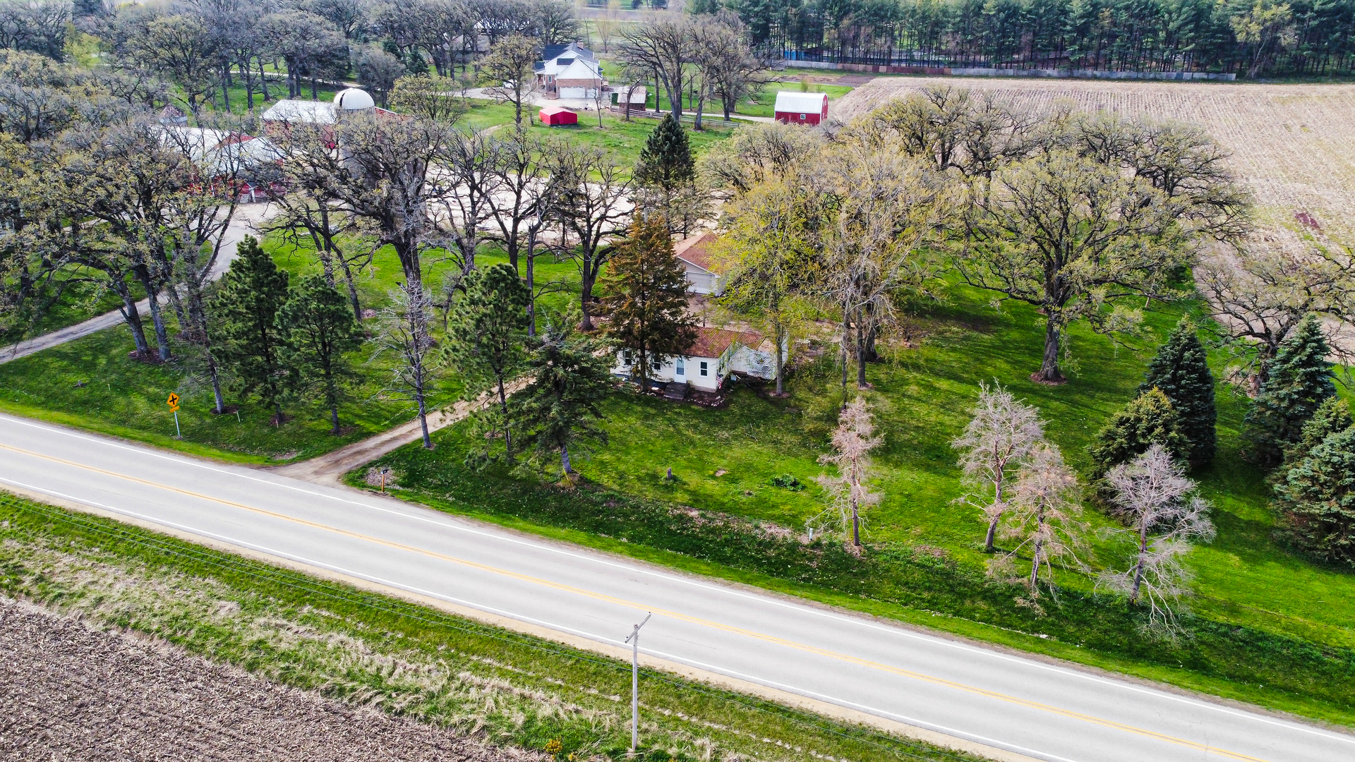 a view of a garden with flowers