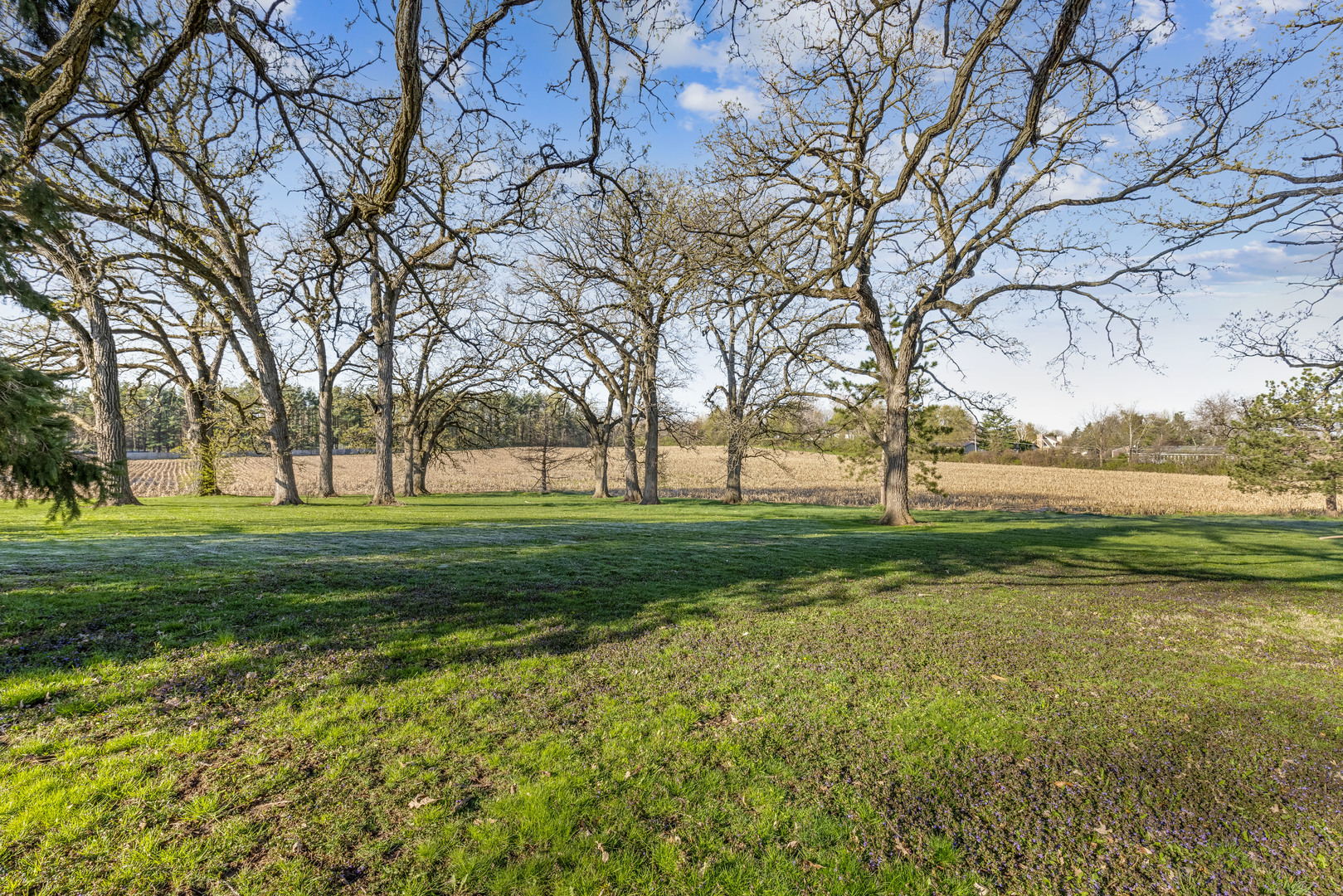 15419 Marengo Road Union, IL 60180 - Photo 14 of 21 a view of field with large trees