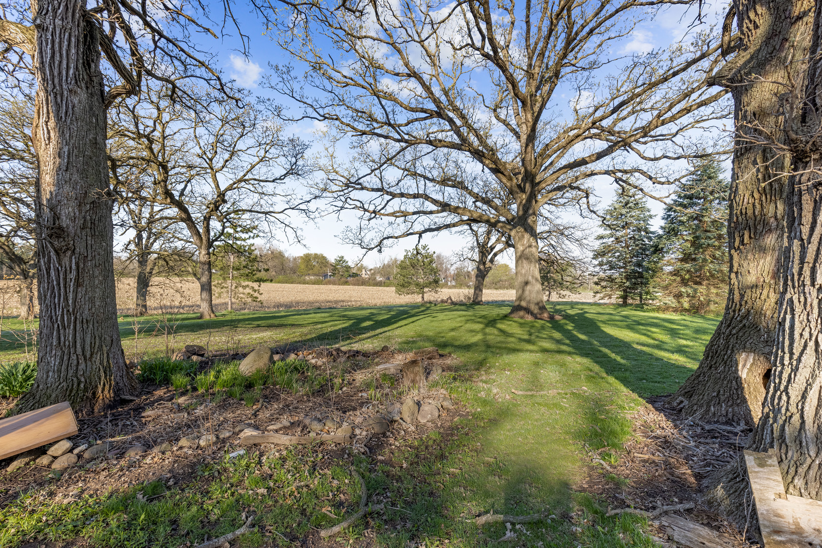 15419 Marengo Road Union, IL 60180 - Photo 15 of 21 a view of a garden with trees