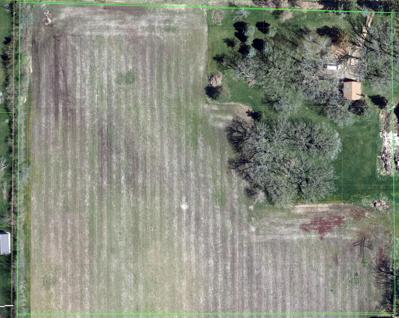 15419 Marengo Road Union, IL 60180 - Photo 19 of 21 a picture of a plant with lots of bushes