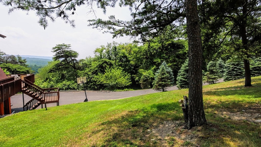 14481 Piney Ridge Road Hesston, PA 16647 - Photo 13 of 65 Gallery Image 13