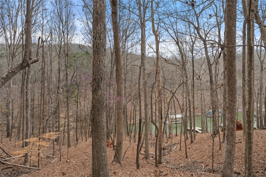 105 North Arrowhead Drive Westminster, SC 29693 - Photo 27 of 34