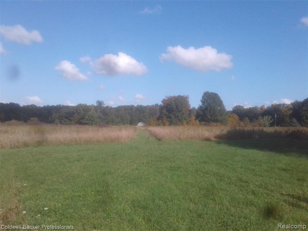 Vl Green Road Fenton, MI 48430 - Photo 1 of 9 Gallery Image 1
