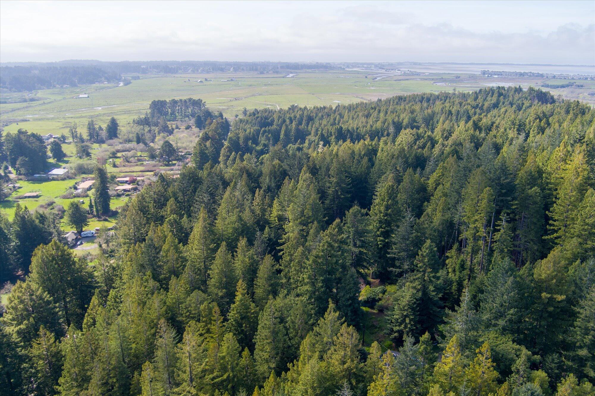355 Redmond Road Eureka, CA 95503 - Photo 4 of 39
