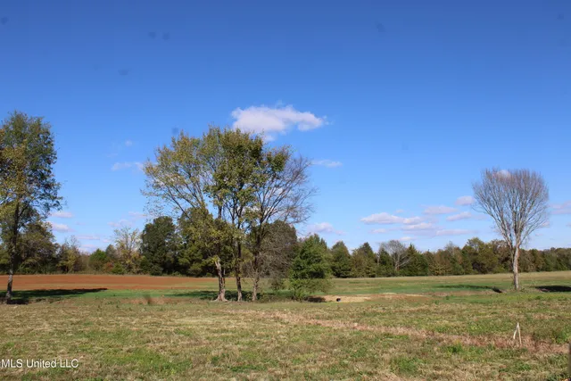 $37,000 | 24 Pin Oak Road, Michigan City, MS 38647