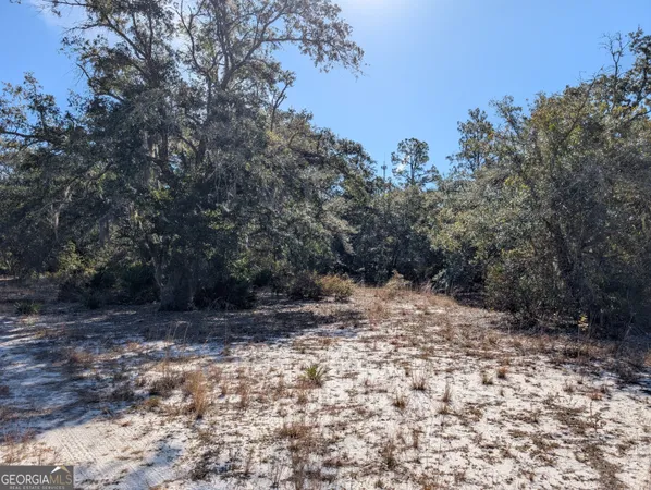 a view of a backyard of a house