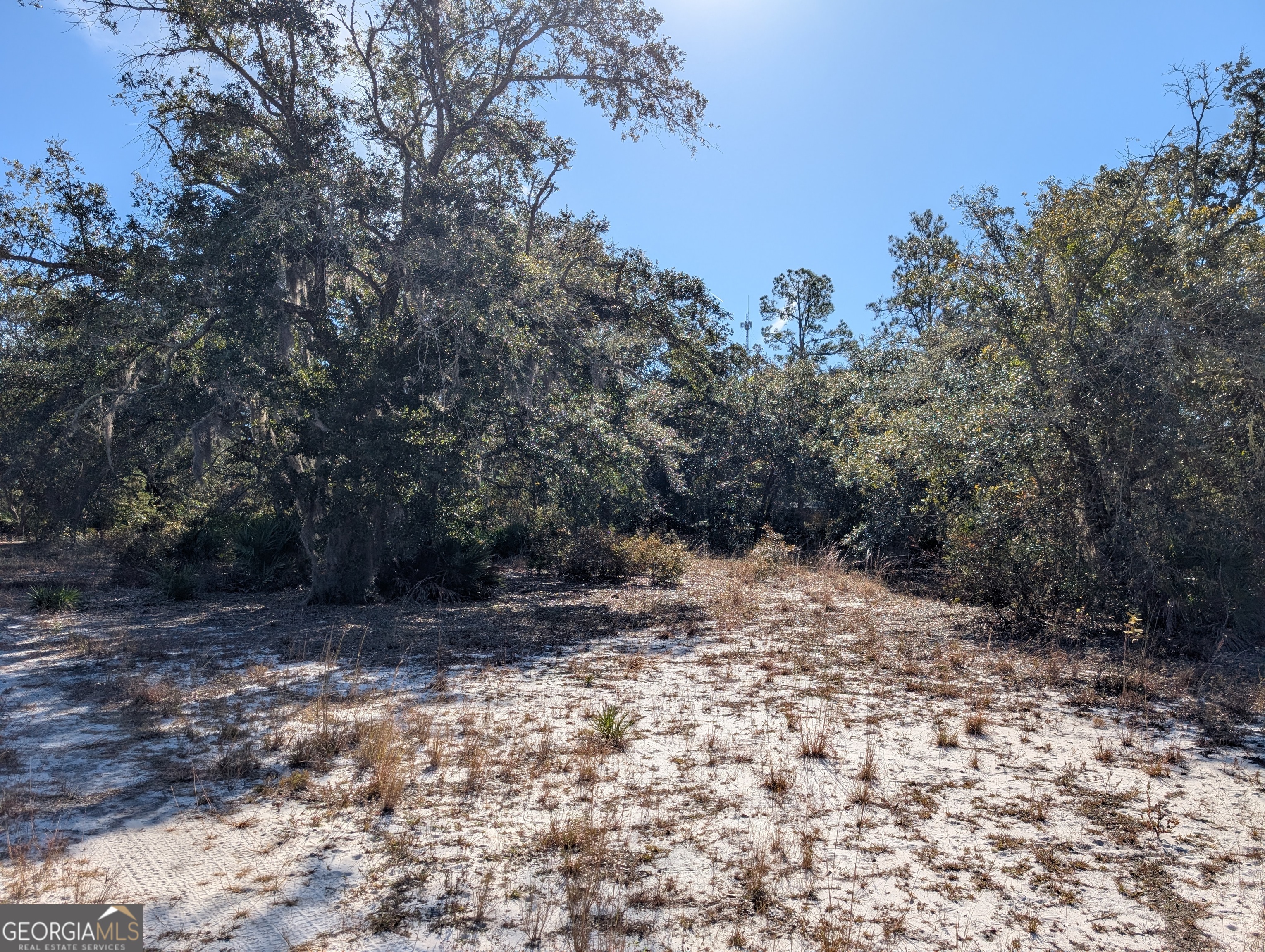 779 Ralph Davis Road Folkston, GA 31537 - Photo 13 of 38