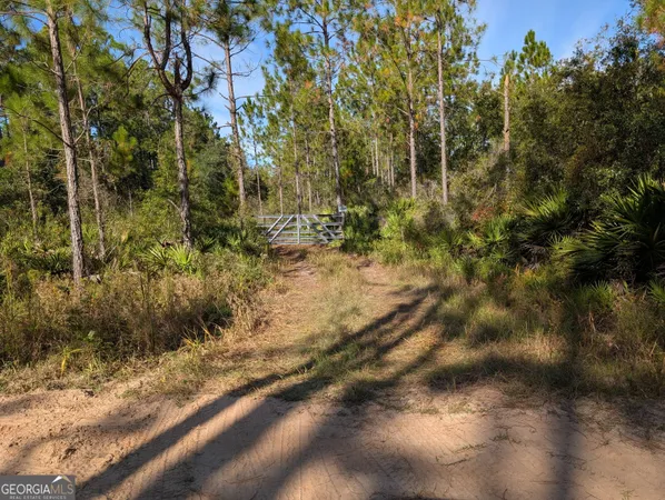 a view of a yard with plants and trees