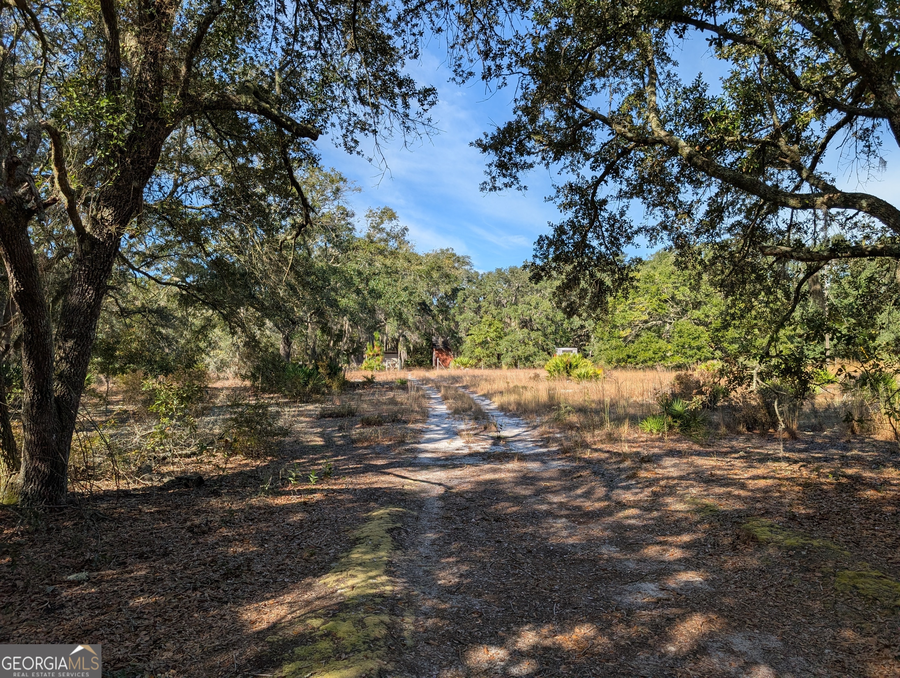 779 Ralph Davis Road Folkston, GA 31537 - Photo 3 of 38